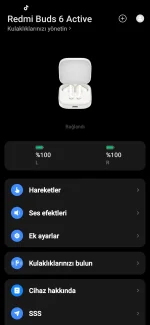 Screenshot_20250518_173208_Xiaomi Earbuds.webp